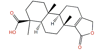 15-Oxospongi-13-en-19-oic acid